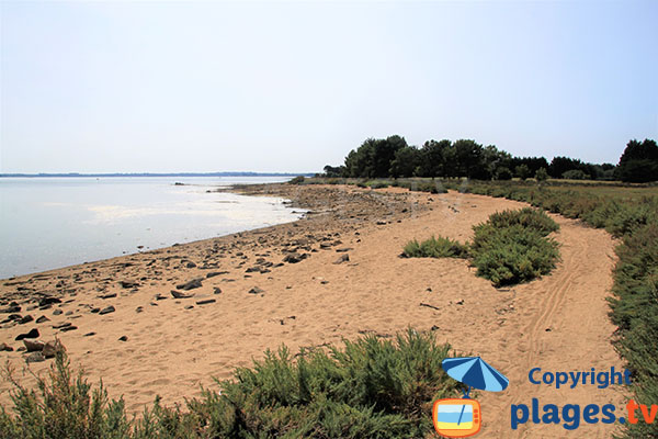 Couleur ocre-rose du sable